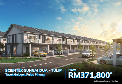 Scientex Sungai Dua -Tulip