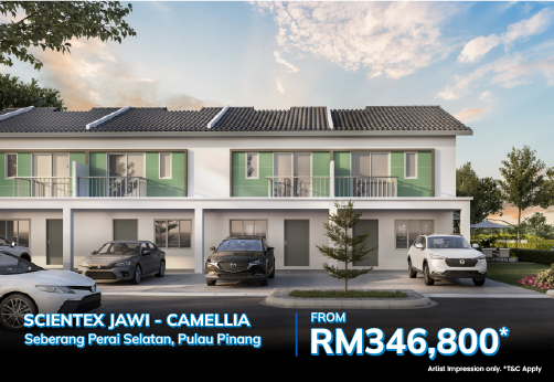Scientex Jawi - Camellia